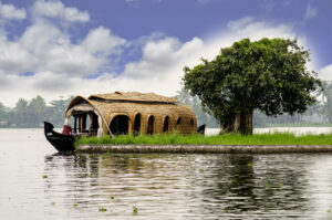 Kerala Backwaters and Hill Stations Tour: Cochin, Alleppey, Thekkady, Munnar