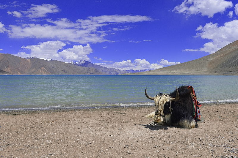 Pangong Lake